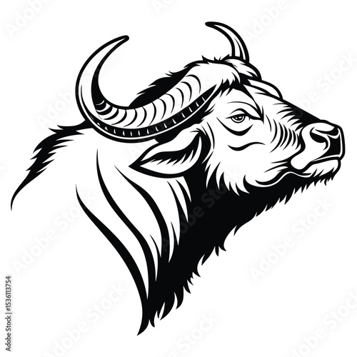Black and white presents the muscular side profile of an ox with horns