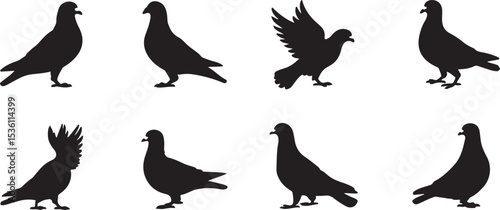 Silhouette of a pigeon eating birdseed.
