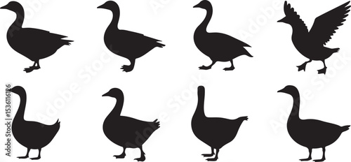 Canadian Geese Silhouettes