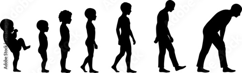 Human life cycle stages evolution development aging process growth from baby to old age silhouette vector 100 editable stock vector illustration