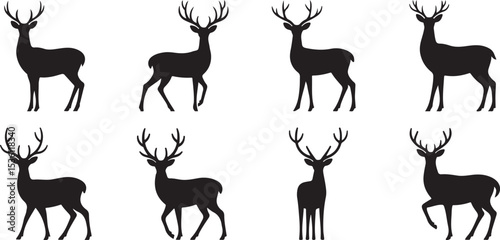Graphic black silhouettes of wild deers – male, female and  roe deer