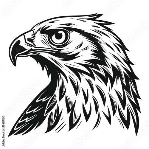 Stylized eagle head profile showcases striking monochrome feathers in a commanding and symbolic presentation
