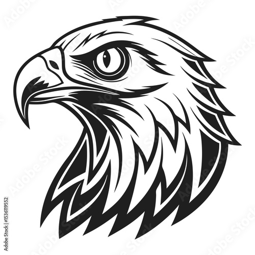 Striking black and white eagle head displays majestic gaze with powerful sharp beak features