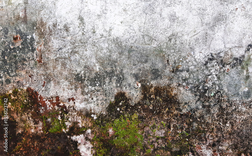 Closeup view of weathered concrete wall with moss and lichen Grunge wall texture background