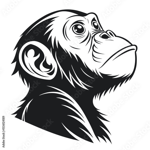 Black and white illustrates an ape looking upward with a contemplative, thoughtful expression