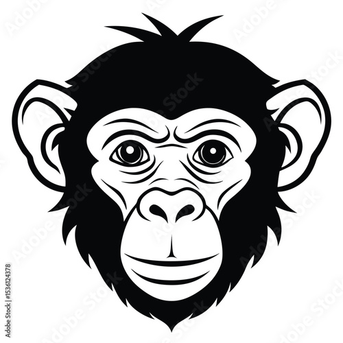 Close up portrait reveals the black and white symmetrical stylized monkey