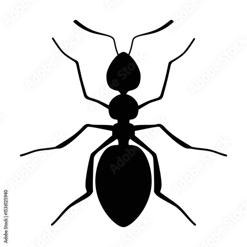 Silhouette of an ant
