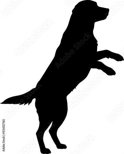 Black dog silhouette standing on hind legs vector illustration for design and decoration use 100 char editable stock vector illustration