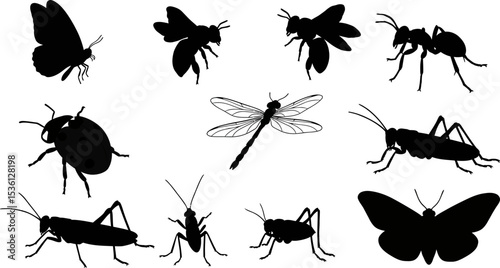 Insect silhouettes vector illustration of butterfly bee ant dragonfly grasshopper beetle moth design art editable stock vector illustration