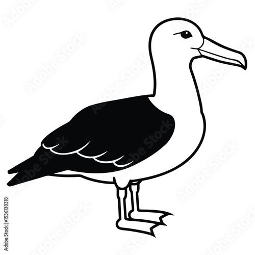The black and white albatross stands calmly in this simple line drawing