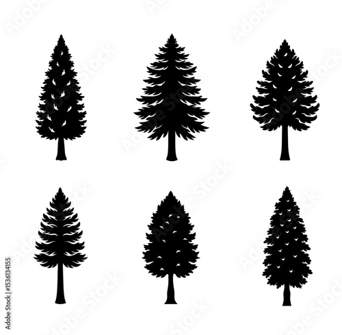 Cypress silhouette vector illustration