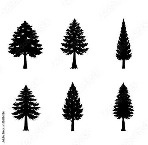 Cypress silhouette vector illustration
