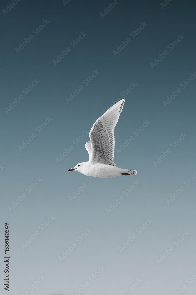 Fototapeta premium solitary bird glides effortlessly through clear sky wings outstretched against expansive backdrop