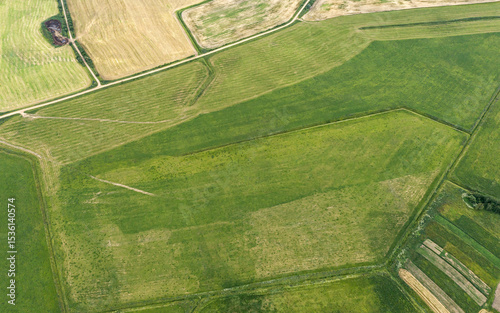 cultivated agricultural fields with growing crops. rural landscape. aerial drone view.