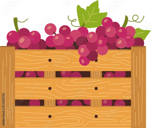 Grapes in Wooden Box

