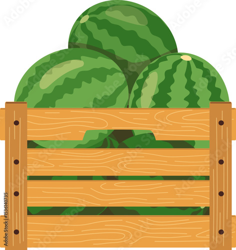 Watermelons in Wooden Crate

