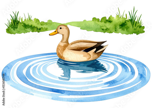 A charming watercolor illustration depicts a brown duck gracefully floating on calm blue water, creating subtle ripples. Ideal for children books or nature themes.