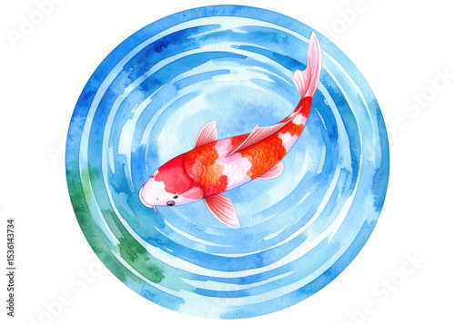 A beautiful watercolor painting depicting a red and white koi fish gracefully swimming in a circular pond with blue water and gentle ripples. nature, tranquility, and asian culture.
