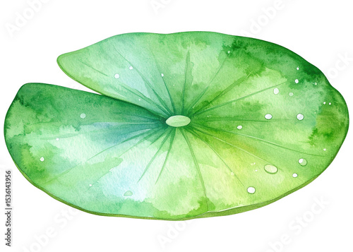 A vibrant watercolor illustration featuring a green lotus leaf adorned with glistening water droplets, perfect for nature or botanical designs.