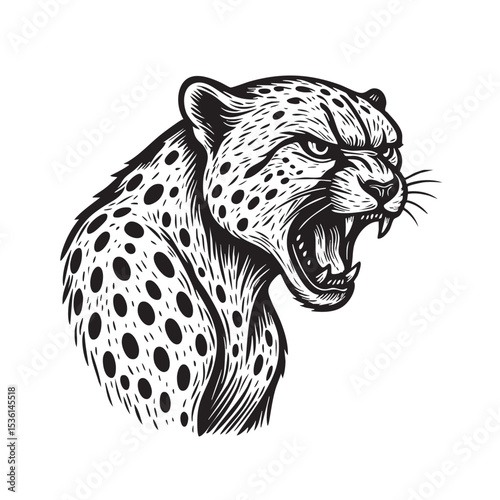 Ferocious roaring cheetah head in black and white engraving style. Powerful vector perfect for logos, mascots, or wildlife print designs.