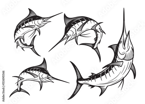 Set of four marlin fish in dynamic poses. Black and white vector in engraving style ideal for fishing, marine life, or seafood-themed designs.