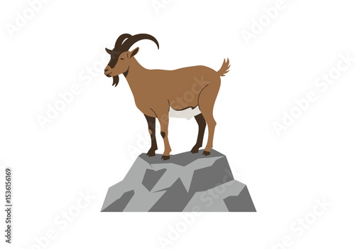 A goat stands on a gray rock
