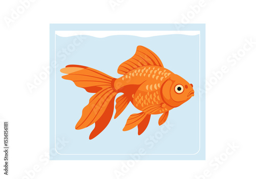 A goldfish with orange scales is swimming in a blue tank with water