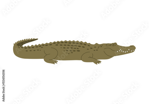 A green crocodile with a toothy grin rests on a white surface