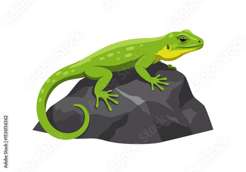 A green lizard with a yellow throat rests on a gray rock