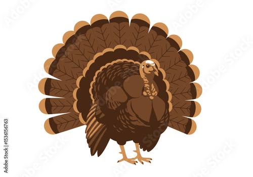 A turkey stands displaying its plumage in shades of brown against a white background