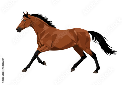 Brown horse in full gallop black mane  tail with a white stripe down the face
