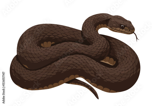 Brown snake coiled with its tongue out eyes open and visible scales