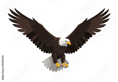 Eagle with outstretched wings in flight isolated on white
