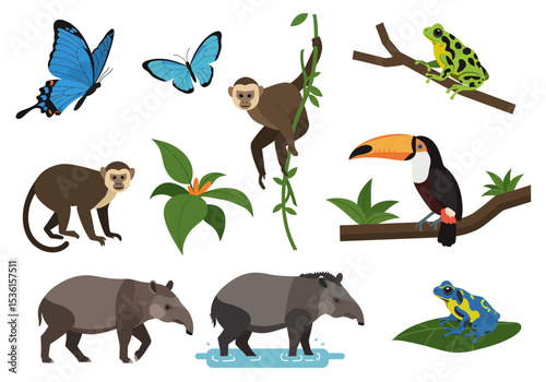 Illustration shows butterflies a monkey a toucan frogs and tapirs depicting a jungle environment