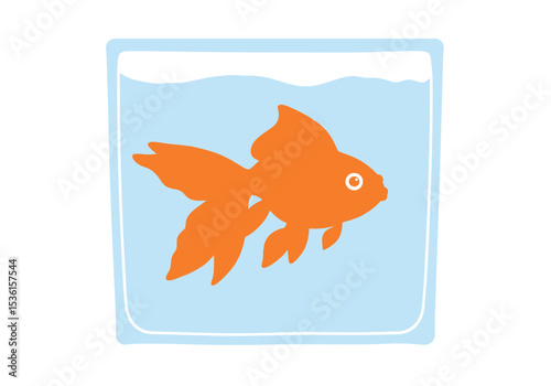 Orange goldfish swims in a light blue square tank filled with water