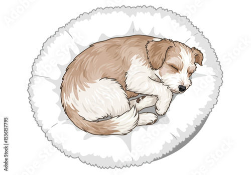 Tan and white dog curled asleep on a fluffy round white bed