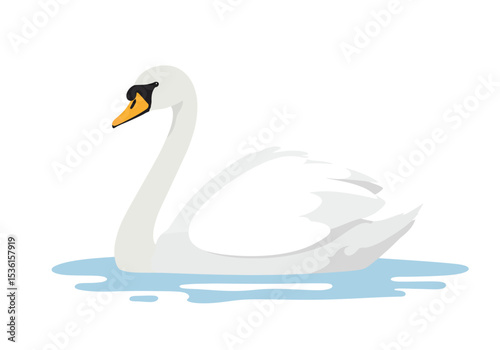 Vector White swan on water blackyellow beak curved neck