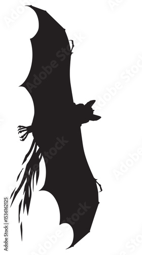Silhouette of bat. Halloween and horror decorations. , black silhouettes isolated on white background