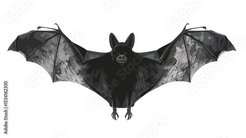Silhouette of bat. Halloween and horror decorations. , black silhouettes isolated on white background