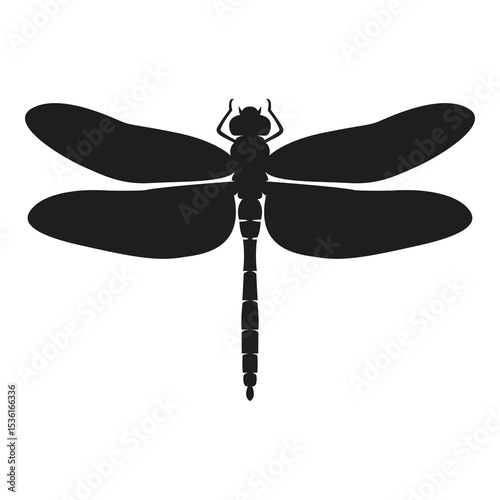 Dragonfly vector illustration. Dragonfly silhouette in black isolated on white background