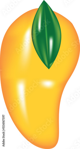3d mango vector set Summer Fruits Vector