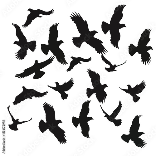 Silhouette of flock of flying birds isolated , black silhouettes isolated on white background