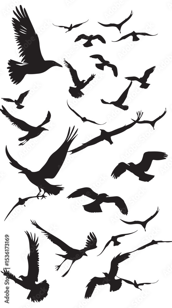 Obraz premium Silhouette of flock of flying birds isolated , black silhouettes isolated on white background