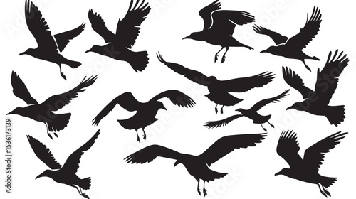 Silhouette of flock of flying birds isolated , black silhouettes isolated on white background