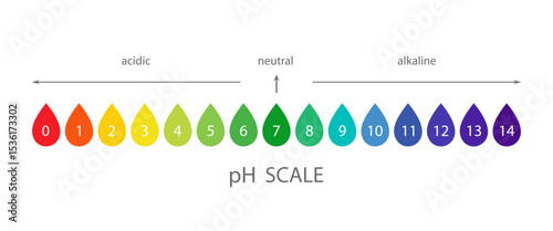PH Scale chart. Indicator of indications, measurements and table of results. Ph analysis or chemical test. Flat Vector illustration.