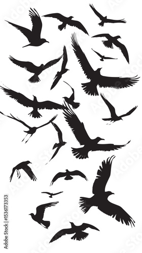 Silhouette of flock of flying birds isolated , black silhouettes isolated on white background