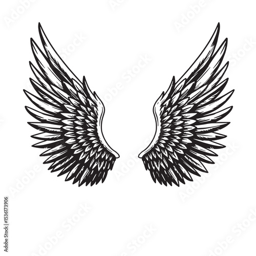 Detailed vector illustration of spread wings in a striking monochrome style on a clean white background evoking freedom and elegance.