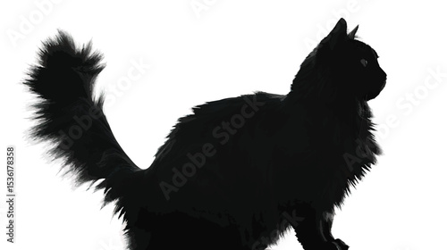 silhouette of fluffy cat on a white background