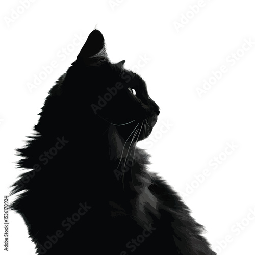 silhouette of fluffy cat on a white background