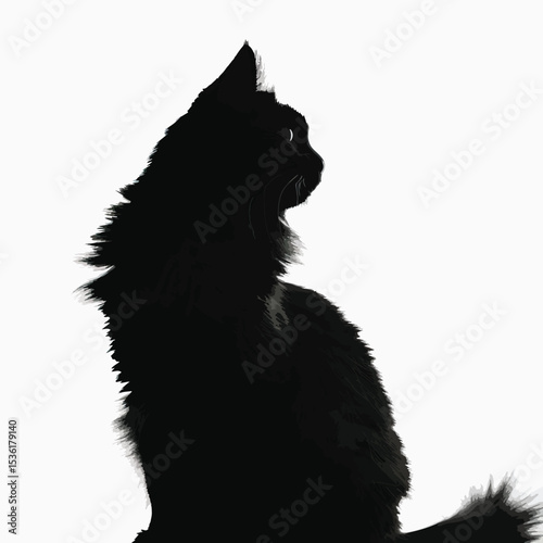 silhouette of fluffy cat on a white background